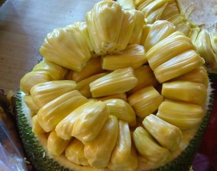 初学者的终极指南