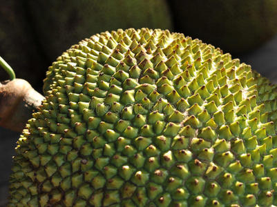 分手信（粤语版）