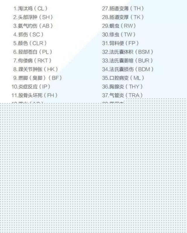 功夫小子闯情关