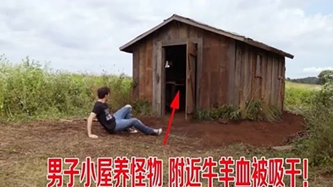 制造伍德斯托克音乐节