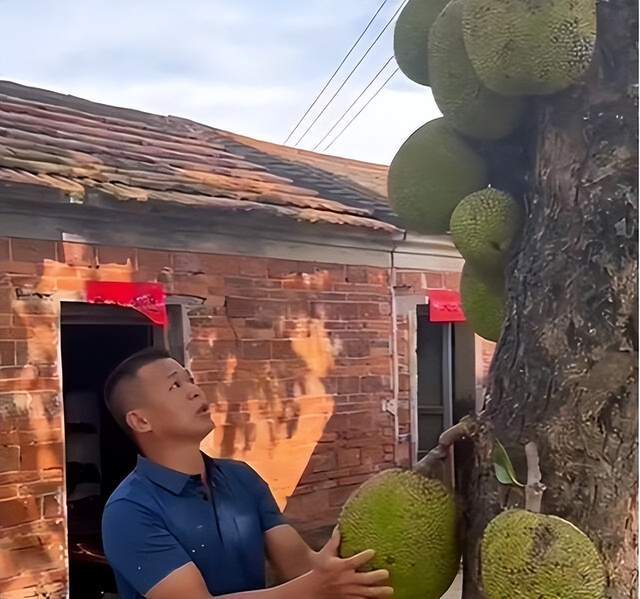 单身男女2(粤语版)