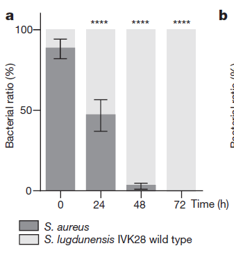 刑警兄弟 （粤语版）