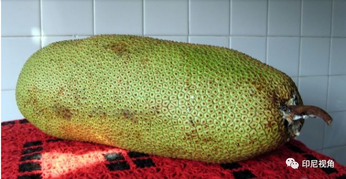 勇敢者游戏2：再战巅峰（原声版）